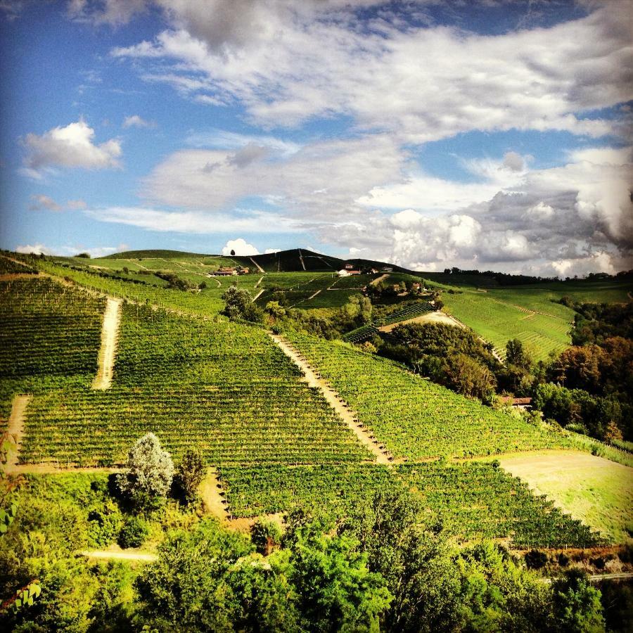 Cascina Maina Villa Diano dʼAlba Dış mekan fotoğraf